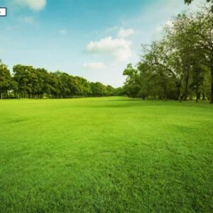 Grundstück in 18279 Lalendorf Provisionsfrei - schnell sein!