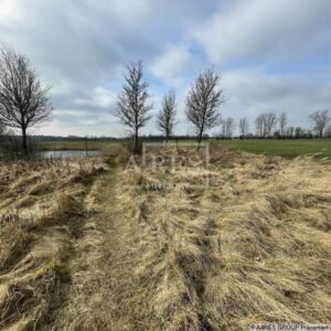 Zwangsversteigerung Grundstück in 18442 Niepars Provisionsfrei - schnell sein!