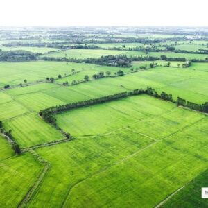 Ohne Makler  Land- / Forstwirtschaft in 97531 Theres