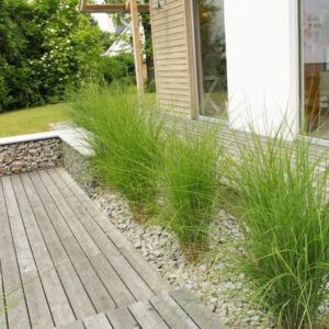 Ohne Makler  Zweifamilienhaus mit Garage in 30455 Hannover -